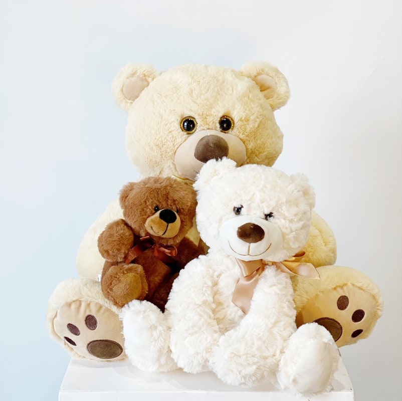 Stuffed Teddy Bear